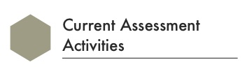 current assessment activities title for framework